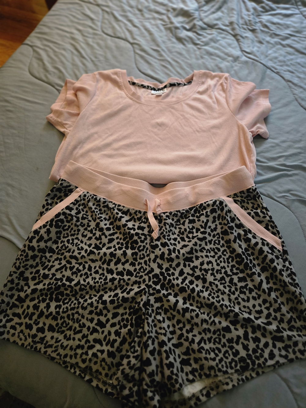 Pink Short Sleeve Top and Leopard Print Shorts  Pj Set
